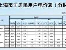 100度电多少钱（上海100度电多少钱）