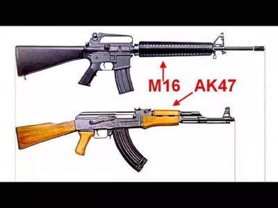 m16（m16是什么组织）