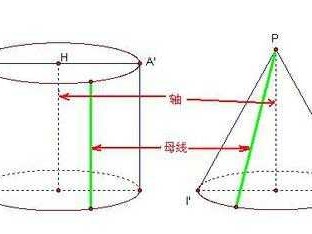 母线是什么（母线是什么圆锥的母线是什么）