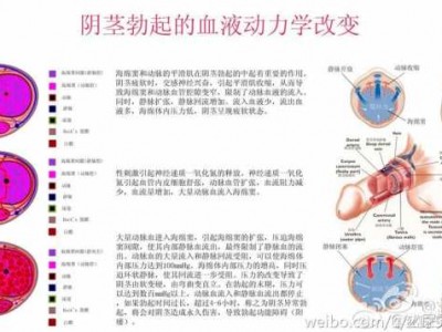 如何变硬（如何变硬气）