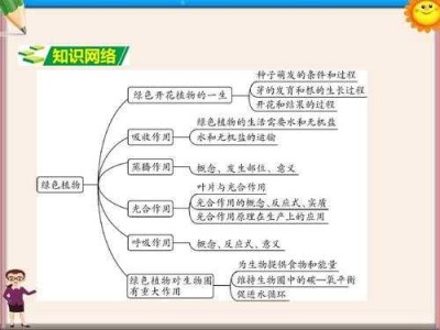 绿色植物（绿色植物是生物圈中有机物的制造者思维导图）