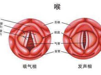 声门（声门上区癌的早期主要表现为）