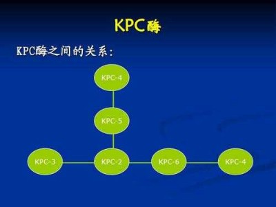 kpc（kpc酶）