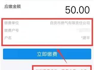 煤气费（煤气费怎么查询明细）