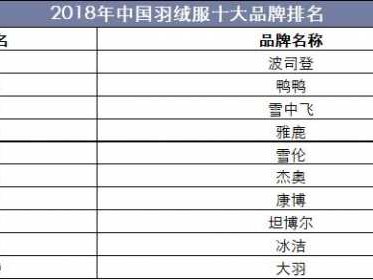 全国十大品牌（全国十大品牌羽绒服）