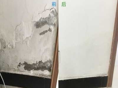 墙体（墙体开裂怎么修补怎么彻底修好）