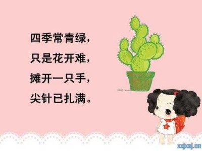 四季常青（四季常青绿,只是花开难,摊开一只手,尖针已扎满）