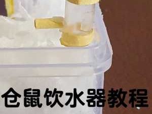 仓鼠饮水器自制（仓鼠饮水器自制视频教程）