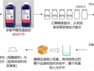 石蜡（石蜡切片制作过程）