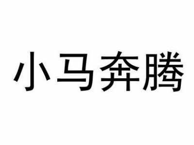 关于小马奔腾的信息