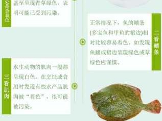 孔雀石（孔雀石绿对鱼的作用和用量）