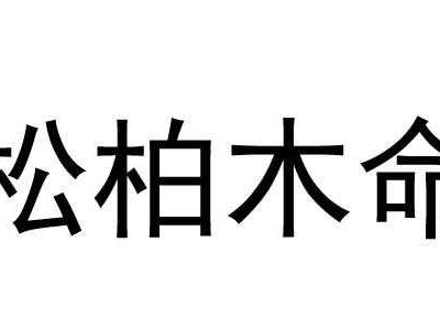 松柏木（松柏木命男孩一生运势）