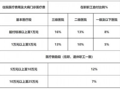 按比例（按比例自付是什么意思）