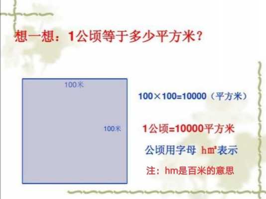 一公顷等于多少平方分米（一公顷等于多少平方米）