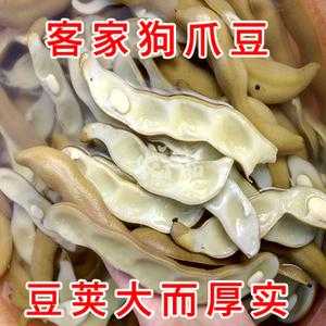 狗皮（狗皮豆的作用与功效）