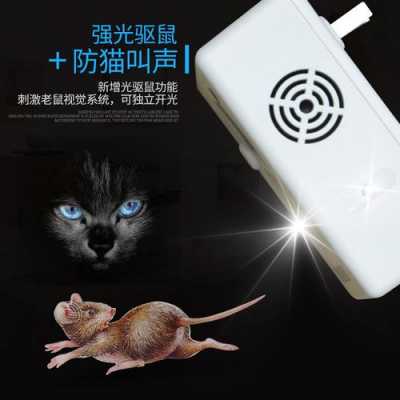 电子猫（电子猫驱鼠器对人体有没有影响）