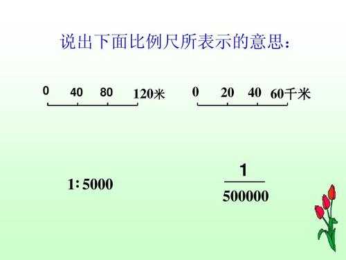 缩小比例（缩小比例尺怎么算）