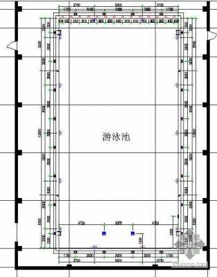 标准游泳池尺寸（标准游泳池尺寸多少米）