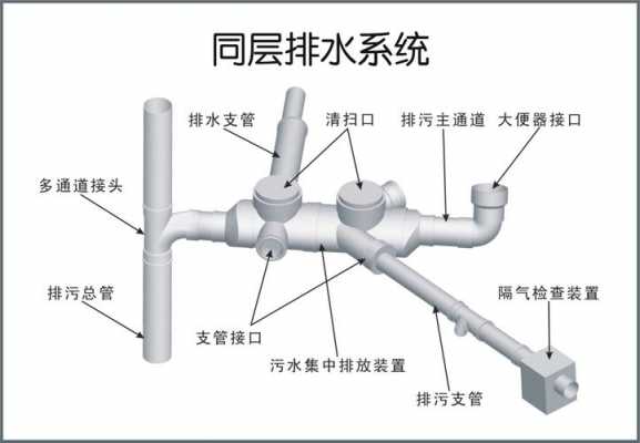 同层排水（同层排水系统）