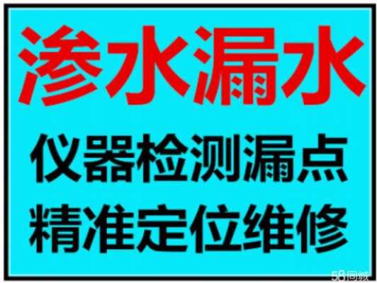 漏水检测价格（漏水检测专业机构）