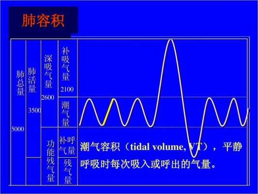 潮气（潮气量是什么意思）