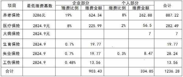 853什么意思（社保月缴费基数是4853什么意思）