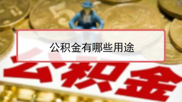 公积金用处（公积金用处大吗）