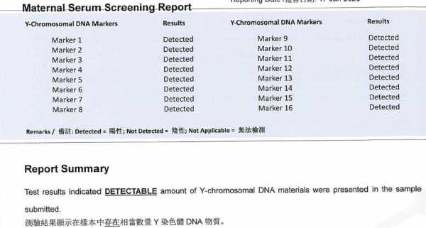 dn什么意思（dna什么意思 网上）