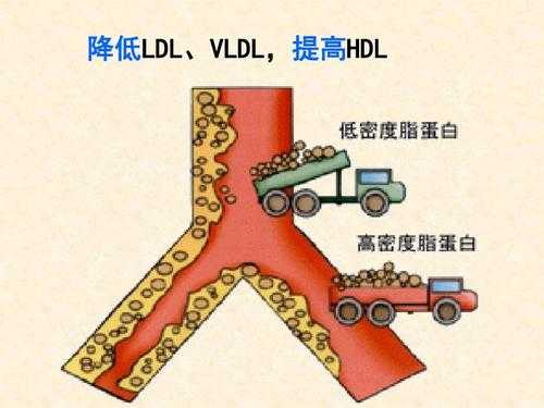 ld（ldl医学上是什么意思）