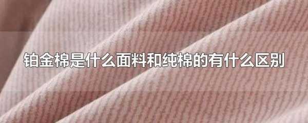 全棉和纯棉的区别（全棉和纯棉的区别哪个更好）