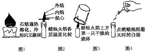 蜡烛成分（蜡烛成分探究）