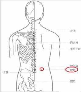 腰门（腰骶部位置图）