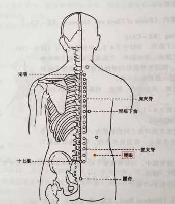 腰门（腰骶部位置图）