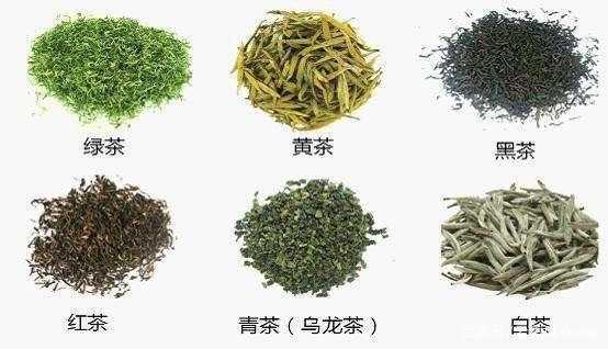 茶叶的种类（茶叶的种类有哪些图片）