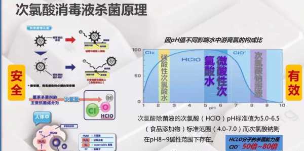 次氯酸钠消毒原理（次氯酸钠消毒原理离子方程式）