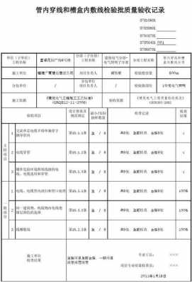 验收是什么意思（并联验收是什么意思）