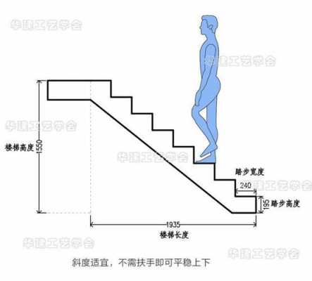 楼梯踏步宽度（楼梯踏步宽度不应小于）