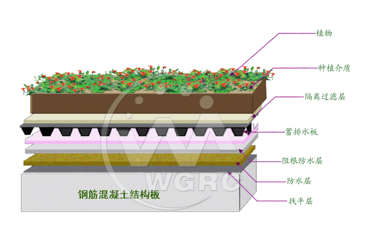 种植屋面（种植屋面排水板做法）