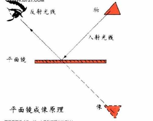 照镜子（照镜子是折射还是反射）