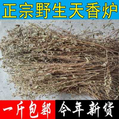 天香炉（天香炉的功效与作用及禁忌）