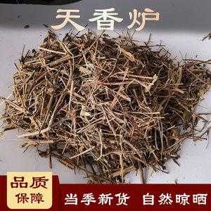 天香炉（天香炉的功效与作用及禁忌）