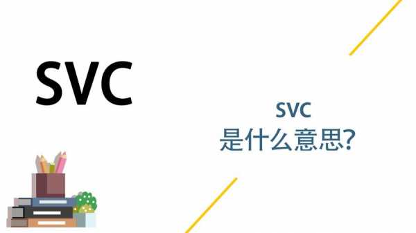 svc是什么意思（汽车上svc是什么意思）