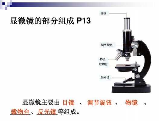 显微镜的作用（显微镜反光镜的作用）