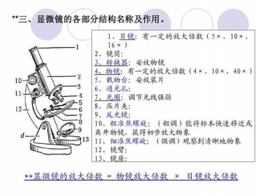 显微镜的作用（显微镜反光镜的作用）