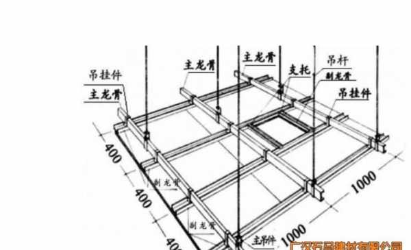 龙骨是什么（龙骨是什么样子的）