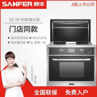 sanfer（sanfer帅丰集成灶怎么换电池）