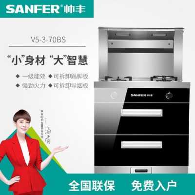 sanfer（sanfer帅丰集成灶怎么换电池）