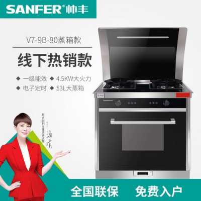 sanfer（sanfer帅丰集成灶怎么换电池）