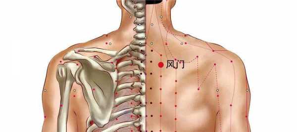 风门（风门的位置与作用和功效）