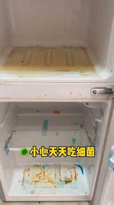 怎么清洗冰箱（冰箱里面食物发霉了怎么清洗冰箱）